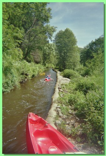 imm012_11.jpg