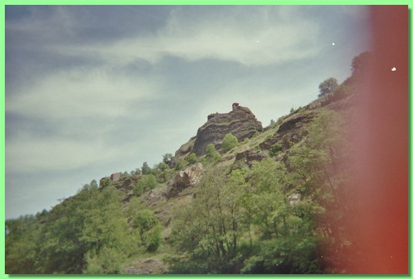 imm017_16.jpg