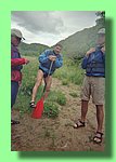 imm004_2A.jpg