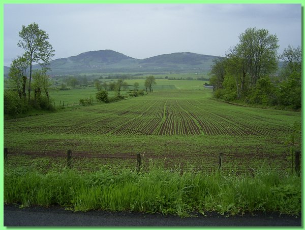 R0011118.JPG