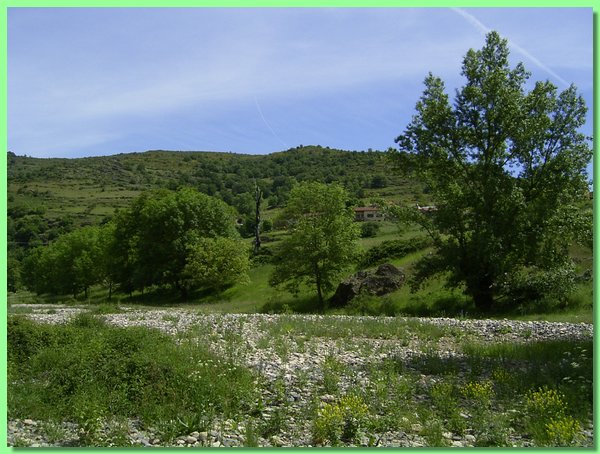 R0011194.JPG