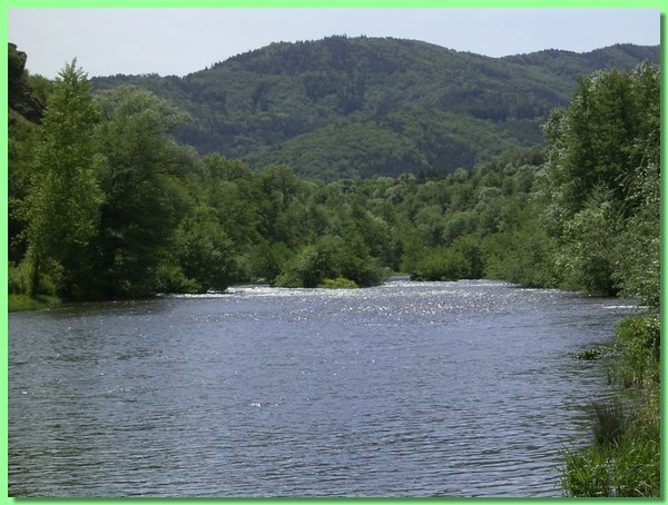 R0011196.JPG