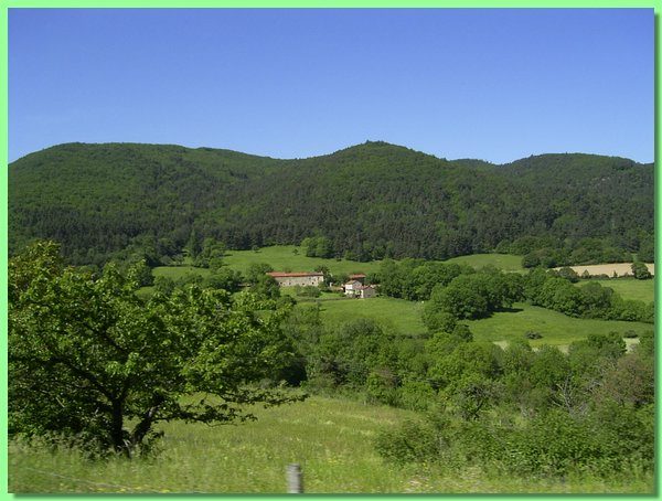 R0011210.JPG