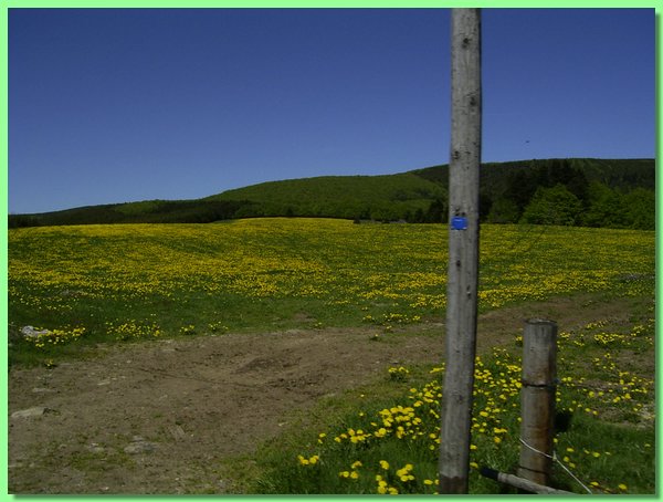 R0011213.JPG