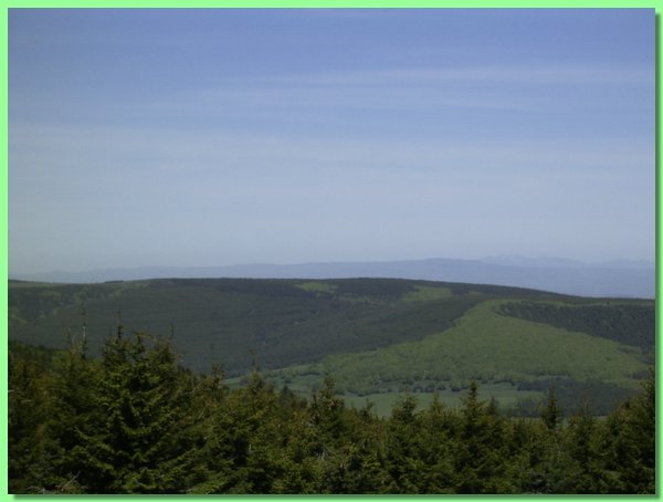R0011217.JPG