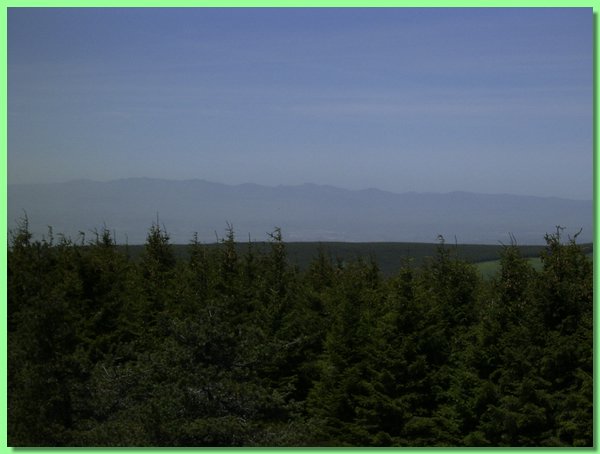 R0011218.JPG