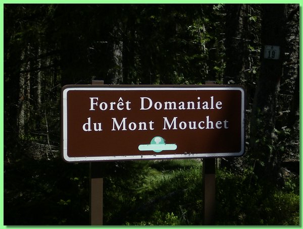 R0011225.JPG