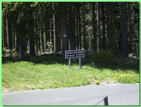 R0011228.JPG