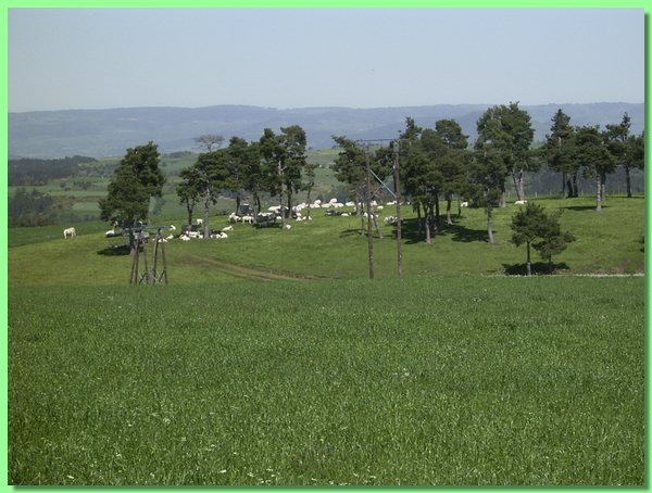 R0011240.JPG