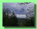 R0011123.JPG