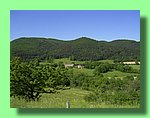 R0011210.JPG