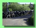 R0011250.JPG