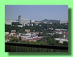 R0011264.JPG