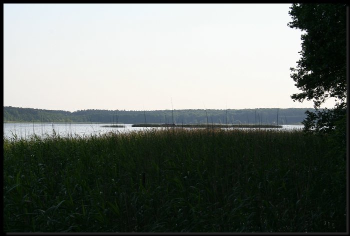 IMG_0487.JPG