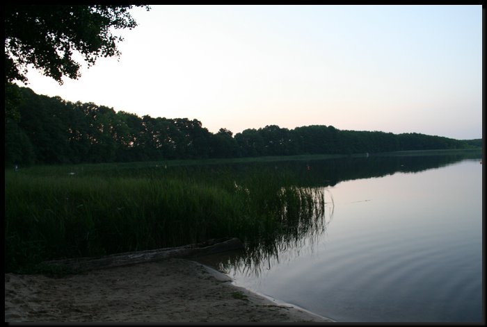 IMG_0590.JPG