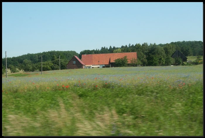 IMG_0602.JPG