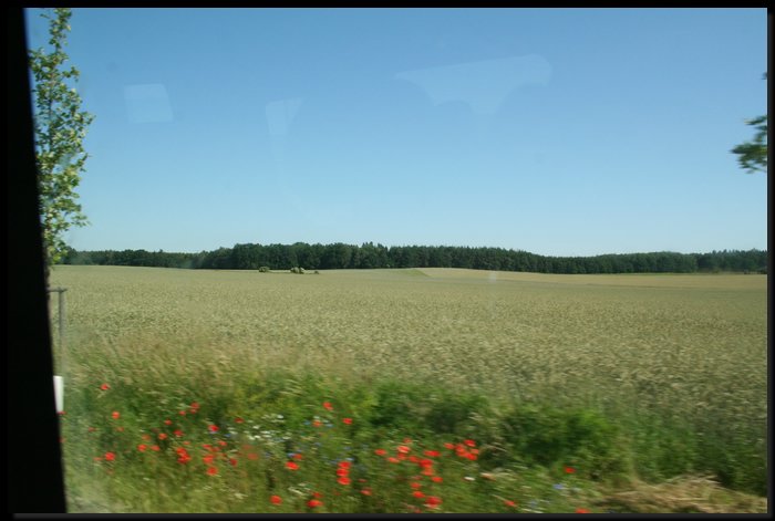 IMG_0604.JPG
