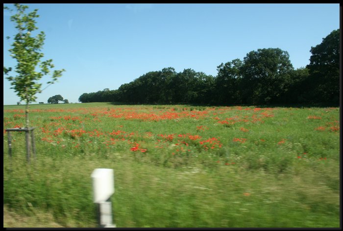 IMG_0605.JPG
