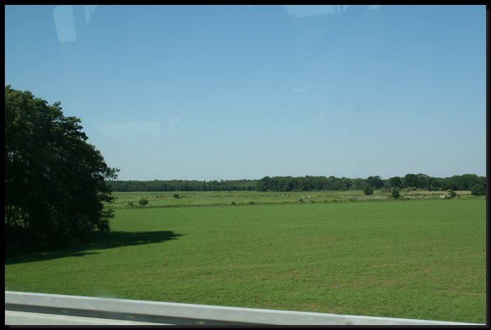 IMG_0608.JPG