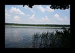 IMG_0346.JPG