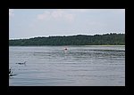 IMG_0347.JPG