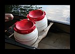 IMG_0352.JPG