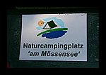 IMG_0375.JPG