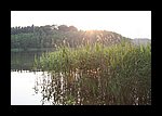 IMG_0411.JPG