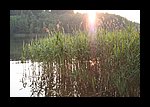 IMG_0412.JPG