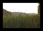 IMG_0413.JPG