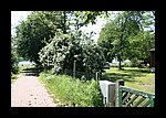 IMG_0433.JPG