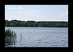 IMG_0453.JPG