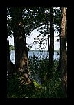IMG_0454.JPG