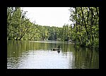 IMG_0455.JPG