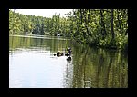 IMG_0456.JPG