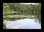 IMG_0460.JPG