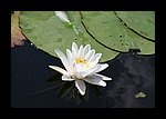 IMG_0462.JPG