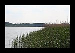 IMG_0483.JPG