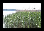 IMG_0484.JPG