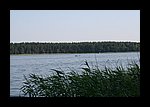 IMG_0488.JPG