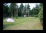 IMG_0491.JPG