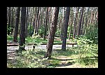 IMG_0530.JPG