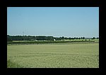 IMG_0601.JPG