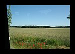 IMG_0604.JPG