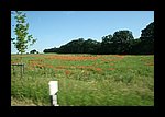 IMG_0605.JPG