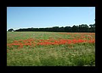 IMG_0606.JPG