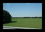 IMG_0608.JPG