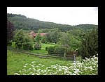 IMG_1055.jpg