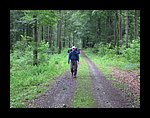 IMG_1060.jpg