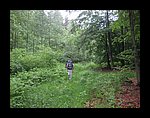IMG_1063.jpg